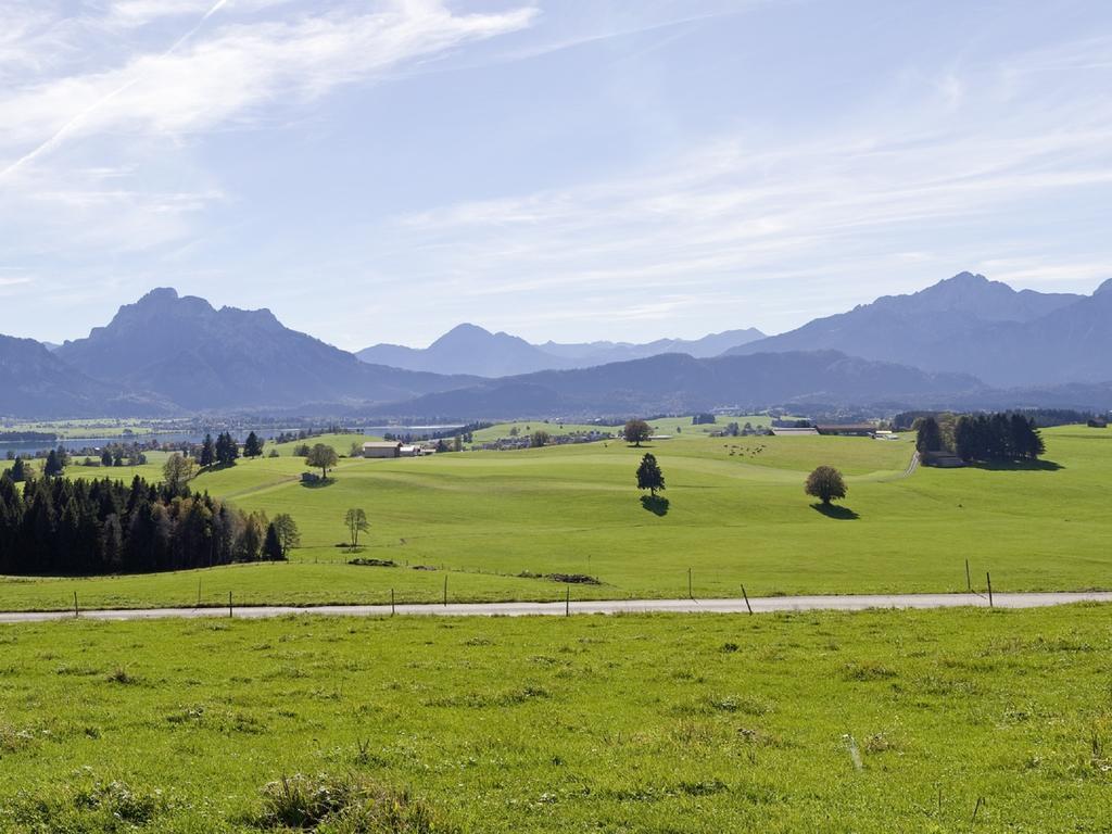 Berghof Kinker Lägenhet Roßhaupten Exteriör bild